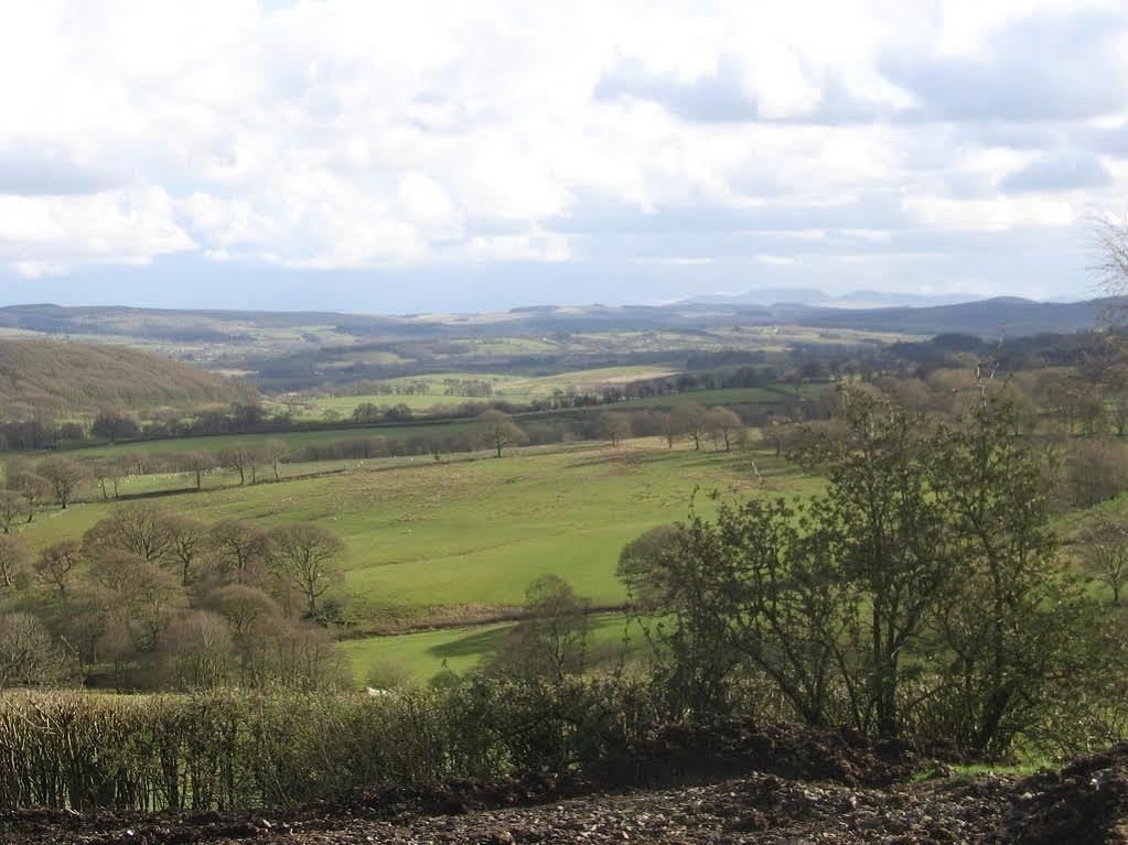 Ty Carreg Bed & Breakfast Llanwrtyd Wells Exterior photo