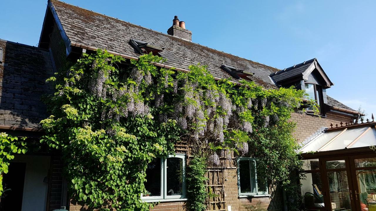 Ty Carreg Bed & Breakfast Llanwrtyd Wells Exterior photo
